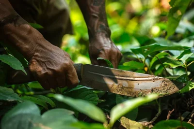 como afilar un machete sin lima