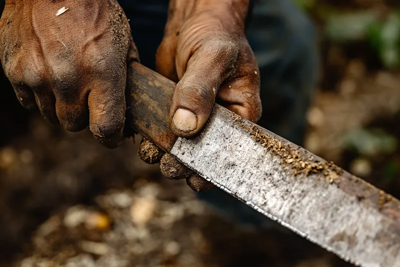 lima para afilar machete